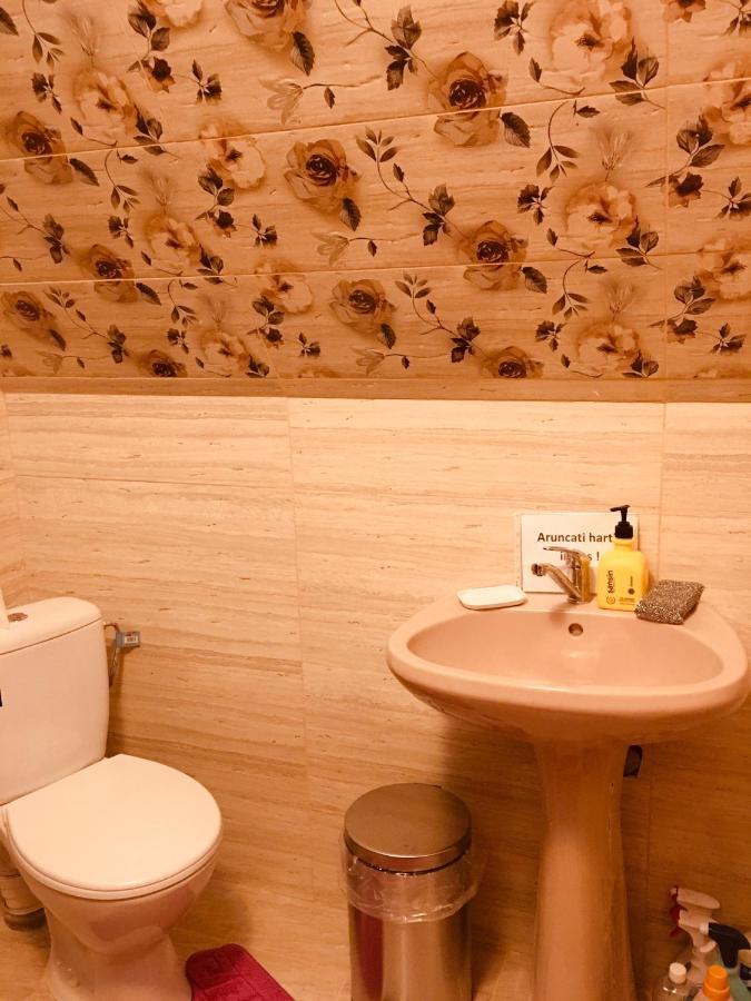 Casa Haiducilor Case de vacanță *
