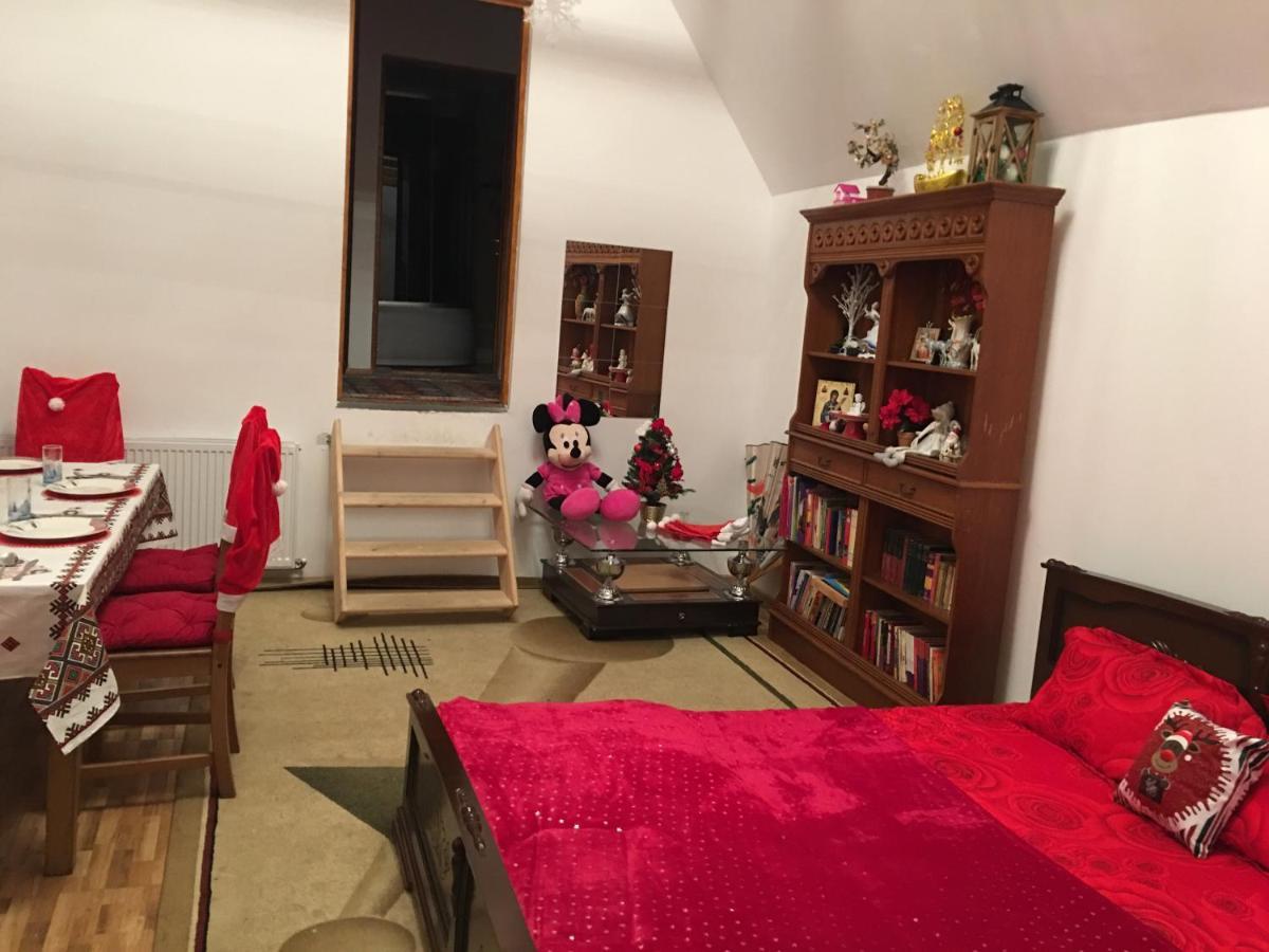Case de vacanță Casa Haiducilor Brașov