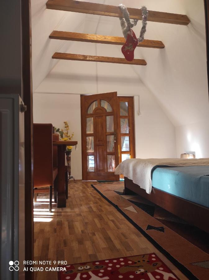 Casa Haiducilor Case de vacanță *