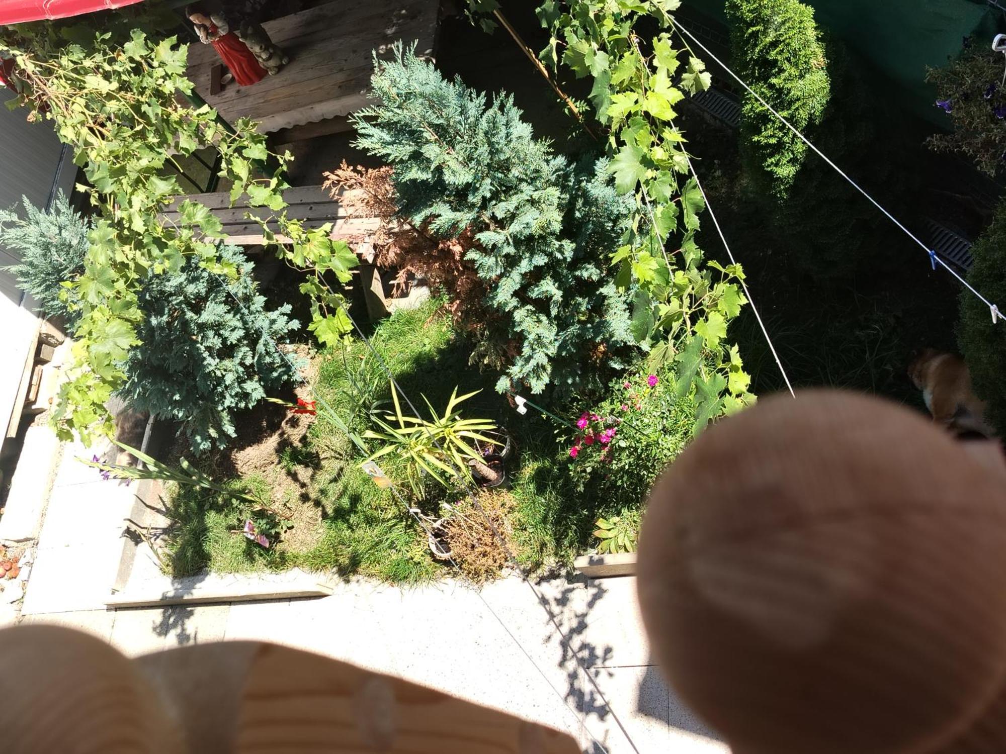 Casa Haiducilor Case de vacanță